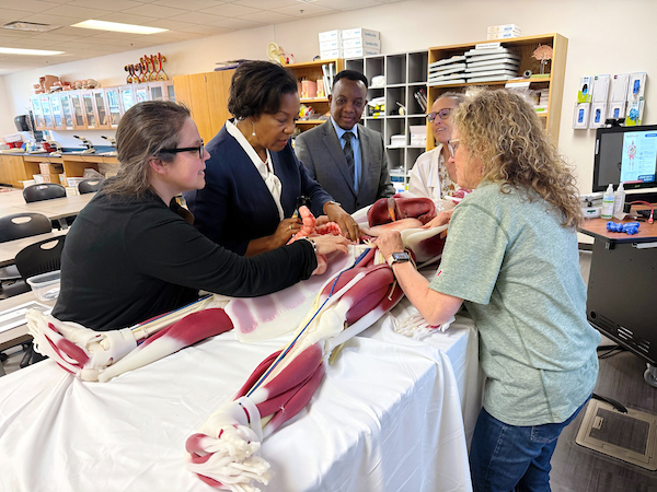 A group of people standing over a human anatomy model used in the Health Sciences Living Learning Community