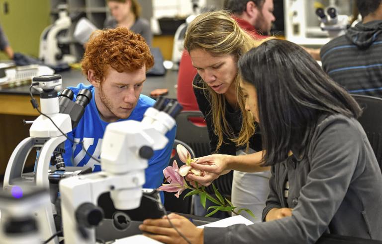 Students examining specimen using microscope