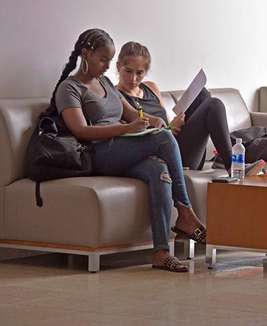 Two students studying