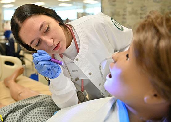 GGC nursing student examining simulation lab manikin