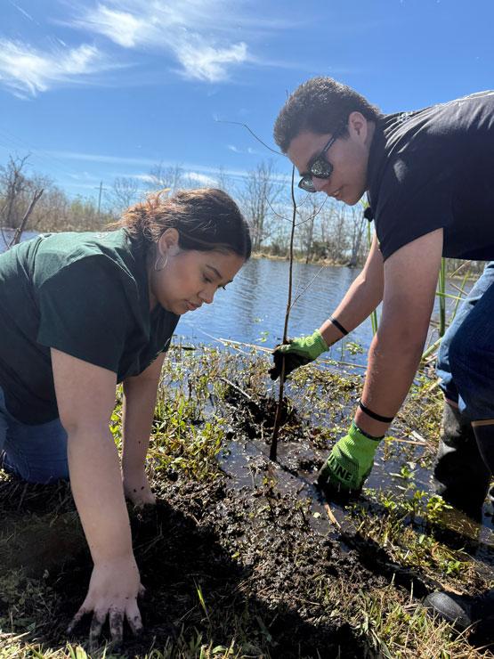 Gaby Sifuentes and Andrew Beltran work to plant a cypress tree at Bayou Sauvage for Common Ground Relief in New Orleans during Alternative Spring Break.