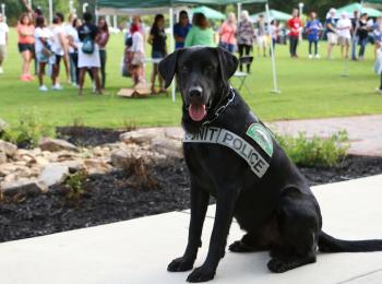 K9 Officer Buddy sitting outside of the GGC Lawn with students in background