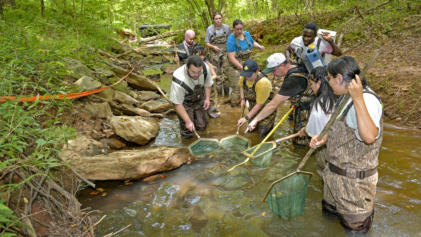 Students standing in stream