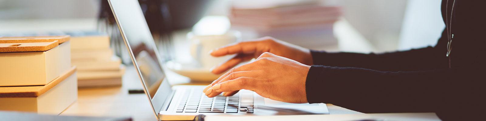 person typing on laptop person typing on laptop